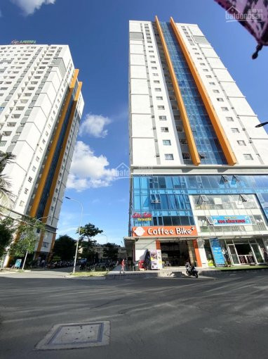 Chung Cư Sen Hồng (violet Tower) 40m2 1pn 8