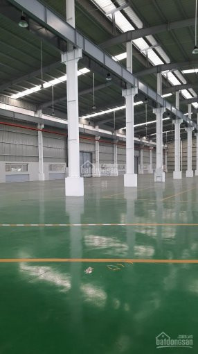 Chuyên Cho Thuê Kho Xưởng Khu Vực Bắc Ninh- Bắc Giang Từ 500m3- 20000m2 Lh: 0983395293 4