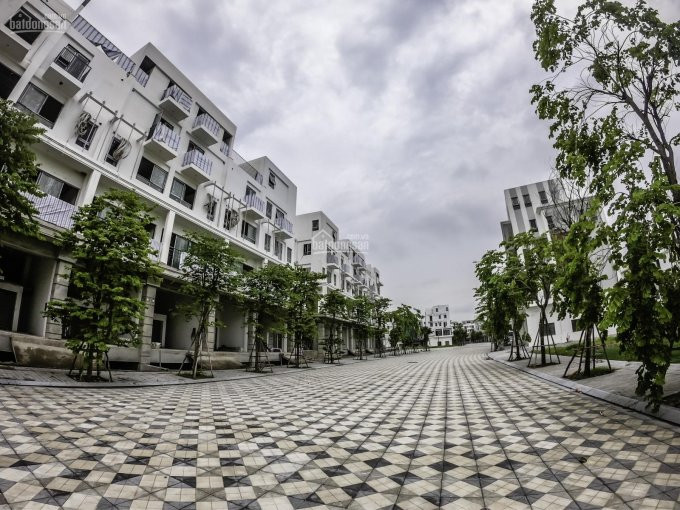 Chuyên Mua Bán Shophouse The Manor Central Park Hàng Góp Vốn Giá Cực Rẻ, Vị Trí đẹp Nhất Dự án 3