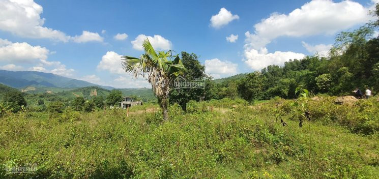 Cơ Hội Sở Hữu Ngay 2000m2 đất Thổ Cư View Tuyệt đỉnh Tại Kỳ Sơn, Hòa Bình 3