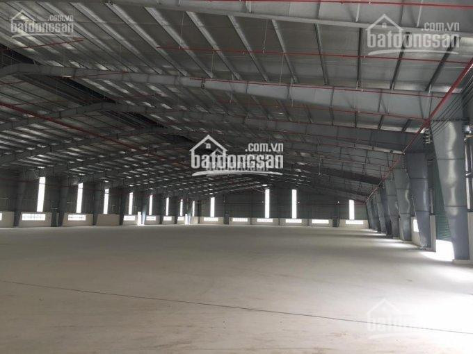 Công Ty Thăng Long Cho Thuê Kho Xưởng, Dt: 400m2, 1000m2, 1500m2, 3000m2 Tại Ccn Thanh Oai, Hà Nội 2