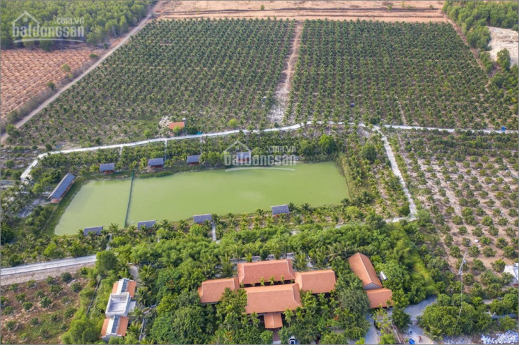 đất Bắc Bình Farmstay Bình Thuận 50000đ/m2 - 0978609775 2