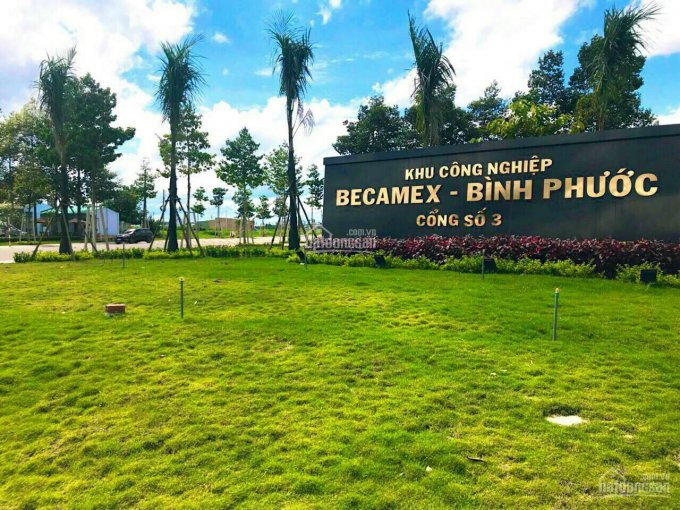 đất Becamex Chơn Thành, đối Diện Trường Học đã Xây Chỉ 699 Triệu 3