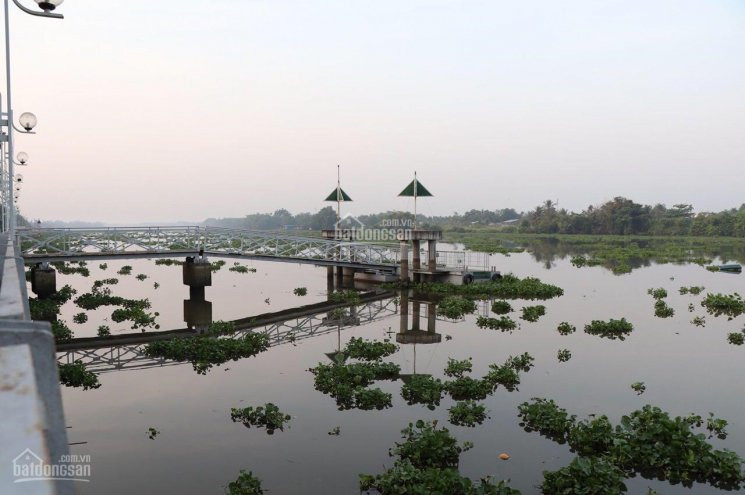 đất Biệt Thự Tiamo Phú Thịnh, Còn Duy Nhất 1 Lô đường Chính Của Khu 1