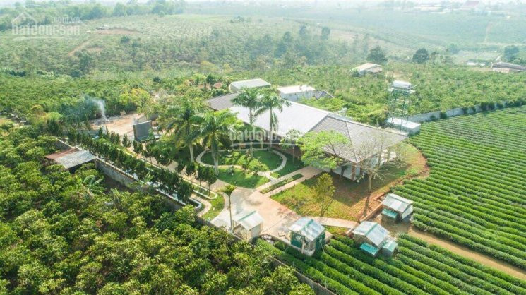 đất Nền Bảo Lộc, Giá Từ 420tr 100m2 Full Thổ Cư Sổ Hồng Riêng 1