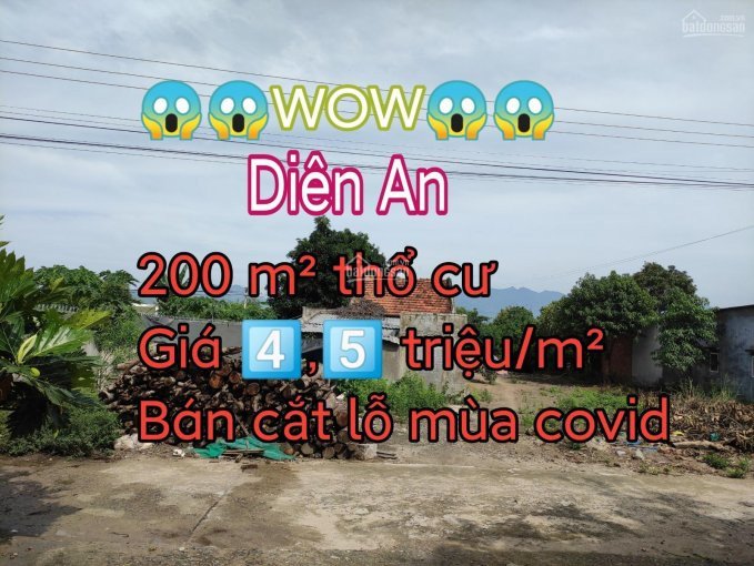 đất Thôn An Ninh, Diên An Diện Tích 550m2 Giá Rẻ Nhất Khu Vực Chỉ 45tr/m2 1