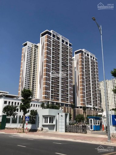 đầu Tháng 12 Này Con Trai Tôi đi Du Học Pháp Vì Vậy Cần Cho Thuê Gấp Căn Hộ 109m2 Chung Cư 6th 5