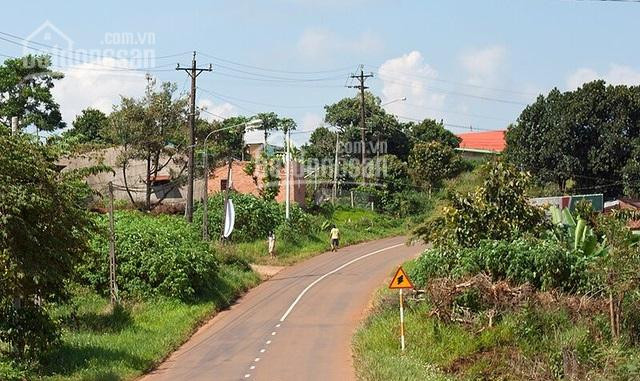 đồi địa đàng - Nơi Dừng Chân Lý Tưởng Cho Nhà đầu Tư Nghỉ Dưỡng 1