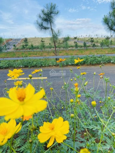 đón đầu Cao Tốc, Sân Bay Lộc Phát, đầu Tư Ngay Lô đất Tiềm Năng Thanh Khoản Cao,sổ Hồng Có Sẵn Thổ 1