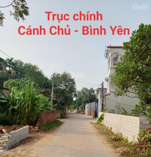 Gấp!  Bán 253m Gần Tái định Cư Bình Yên Chỉ 75 Triệu/m 1