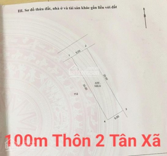 Hot  100m Tân Xã Siêu đẹp Giá Rẻ 3