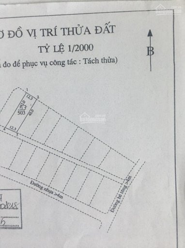 Kd Thua Lỗ Bán Gấp 503m2 Gần Tiểu Học Tóc Tiên, Sổ Hồng Riêng, Công Chứng Ngay 3