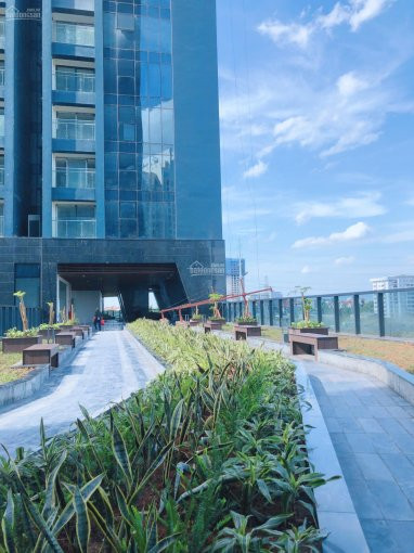 Kh đông Tứ Mệnh, 3pn 100m2, Chỉ 35 Tỷ (vat) View Sông Hồng, Nội Thất Dát Vàng Sunshine City 5