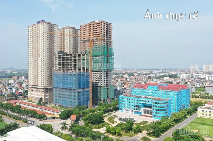 Mái ấm Việt Cho Người Việt  Tht New City 7