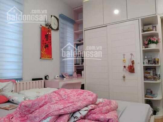 Mặt Ngõ- Gara Oto- Kinh Doanh- đường Hoàng Hoa Thám Ba đình 56m2*5t, Giá 56 Tỷ 3