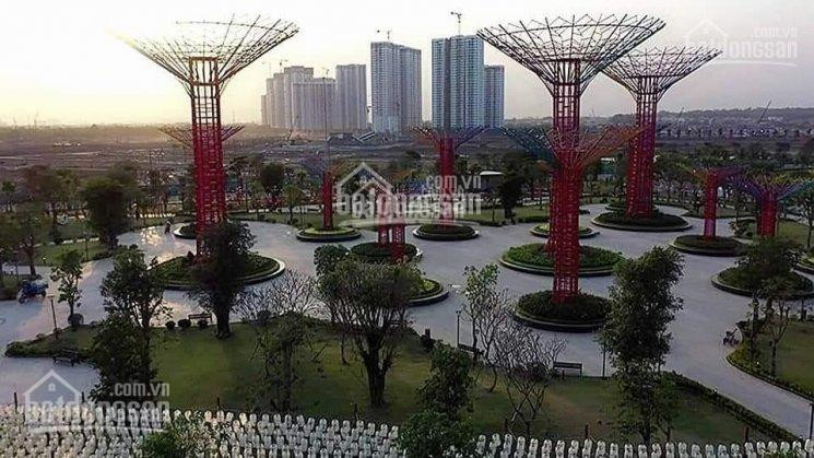 Pkd Vinhomes Grand Park Q9 1000 Căn Chuyển Nhượng, Nhiều Căn Cắt Lỗ Và Bán Giá Gốc, Lh 0977771919 5