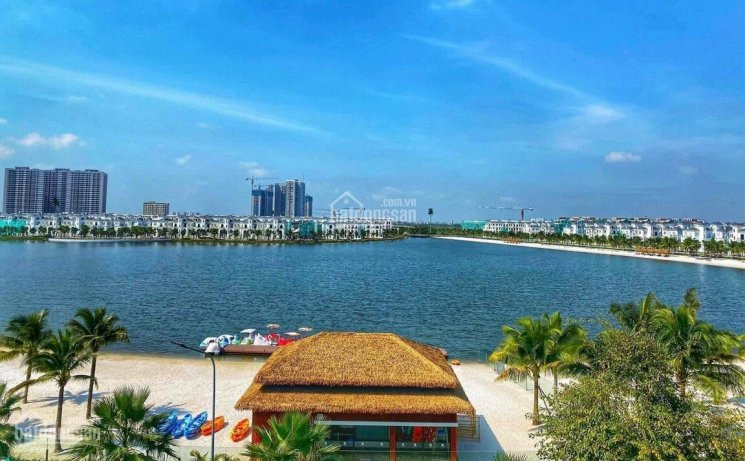 Quỹ Căn Cho Thuê Hot Nhất Dự án Vinhomes Ocean Park Shophouse, Biệt Thự, Liền Kề 5