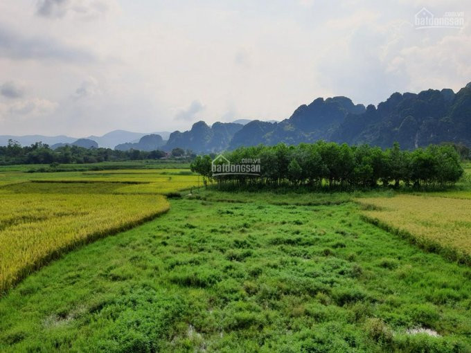 Siêu Phẩm đất Nghỉ Dưỡng View Tuyệt đỉnh Tại Lương Sơn, Hòa Bình Diện Tích 3000m2 2