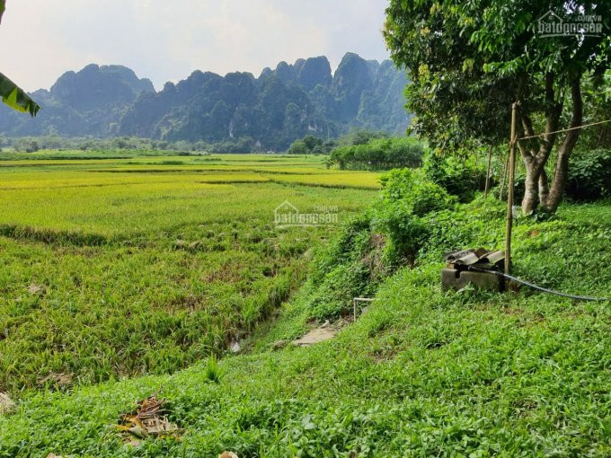 Siêu Phẩm đất Nghỉ Dưỡng View Tuyệt đỉnh Tại Lương Sơn, Hòa Bình Diện Tích 3000m2 3