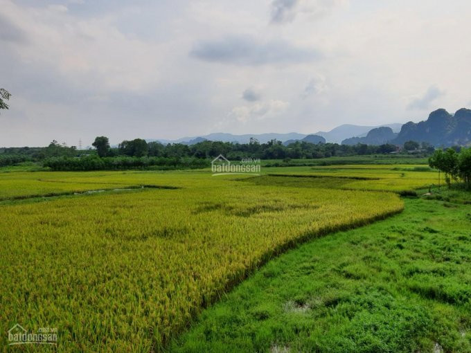 Siêu Phẩm đất Nghỉ Dưỡng View Tuyệt đỉnh Tại Lương Sơn, Hòa Bình Diện Tích 3000m2 4