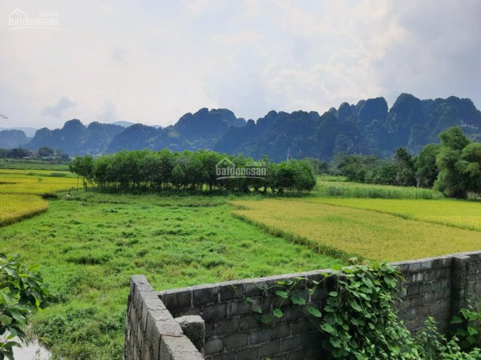 Siêu Phẩm đất Nghỉ Dưỡng View Tuyệt đỉnh Tại Lương Sơn, Hòa Bình Diện Tích 3000m2 8