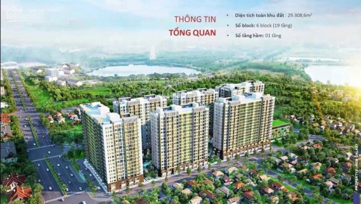 Suất Nội Bộ Căn Hộ New Galaxy Làng đại Học 1pn-chiết Khấu 106% 1