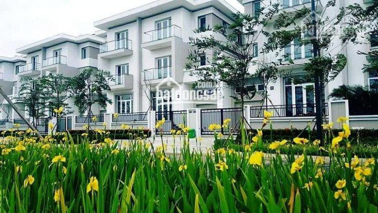 Tổng Hợp Danh Sách Shophouse, Lk, Biệt Thự Ciputra Hn, Dt 120m2 - 400m2, Giá Tốt Nhất 0975974318 8