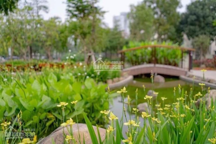 Tổng Hợp Quỹ Hàng St5 Gamuda Gardens Ngoại Giao Và Gửi Bán Giá Tốt Nhất Thị Trường Lh: 0981122869 2