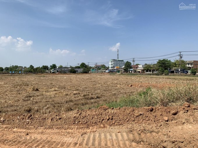 Trí Bđs, đất 21000m2 Mặt Tiền Nguyễn Cửu Phú, Gần Cầu Chợ đệm, Quy Hoạch đất ở 6