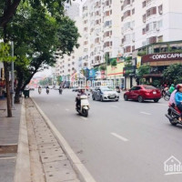 82m2 đất (66*124) Phố Phạm Ngọc Thạch Giá 62 Tỷ