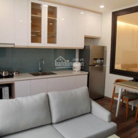 Apartment Ba đình, Trung Tâm Thành Phố, Oto Vào Tận Nhà, 9 Tầng Thang Máy, Full Nội Thất, Cho Thuê