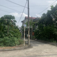 Bán đất đấu Giá Yên Thành, Oto đỗ Cửa, 6124m2, Vuông Vắn, Sổ đỏ Chính Chủ!