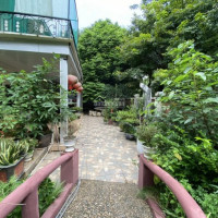 Biệt Thự Vườn Tùng Ecopark- Sân Vườn, Ao Cá, Phong Cảnh Hữu Tình- 432 M, Full đồ, Giá 23tỷ