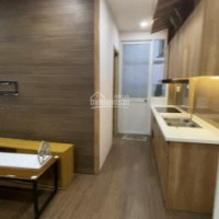 Chính Chủ 1pn 40m2, Chung Cư Lotus ( Hình Thực Giao Nhà đẹp Dưới Hình) đăng 27/11/2020