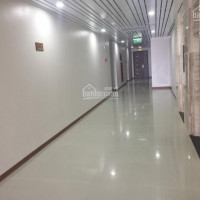 Chính Chủ Bán Cắt Lỗ Chung Cư Iris Garden, Tầng 1808, Ct4 60m2 2pn, Giá 1,85 Tỷ, Lh 0916419028