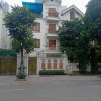 Chính Chủ Bán Nhanh Biệt Thự Thành Phố Giao Lưu, Hà Nội Chỉ 129tr/m2