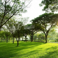 Chính Chủ Bán Nhanh Căn Hộ Mỹ Viên  Phú Mỹ Hưng  Quận 7 Dt 118m, 3pn Giá Cực Rẻ 3250 Tỷ View Công Viên