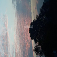 Chính Chủ Bán Nhanh đất đường Nội Bộ 12m, Khu đô Thị Vĩnh Lộc, P Bình Hưng Hòa B, Q Bình Tân