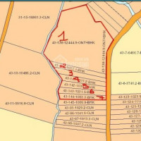 Chính Chủ Bán Nhanh Gấp Lô đất Trồng Cây Dt 18562m2 (có 300m2 Thổ Cư) Tại Xuân Lộc, đồng Nai Mt Bê Tông
