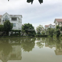 Chính Chủ Bán Nhanh Gấp Lô Hoa Phượng 4, Gần Công Viên Trung Tâm Vinhomes Riverside, 324m2, 225 Tỷ 0904 668 596