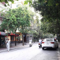 Chính Chủ Bán Nhanh Nhà Mặt Phố Phạm Thận Duật, Cầu Giấy, 58m2 X 5t, Mt 6m, Kinh Doanh đỉnh, 15 Tỷ
