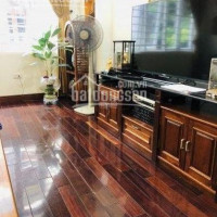 Chính Chủ Bán Nhanh Nhà Ngõ 279 Trần Khát Chân Thông 54 Kim Ngưu, Hai Bà Trưng 65m2x5t, Cách Phố 30m, 7,3 Tỷ