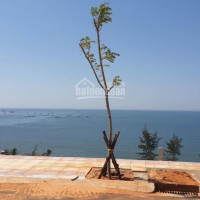 Chính Chủ Bán Nhanh Nhanh Lô Block 9 View Biển Sentosa Villa, Giá Cực Tốt Cho Nhà đầu Tư Liên Hệ: 0969 877 590