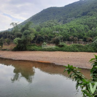 Chính Chủ Cần Bán 21ha(21000m2) đất Vườn Thổ Cư Bám Dọc Theo Sông Tuyệt đẹp 