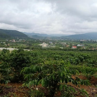Chính Chủ Cần Bán Lô đất Xã Tà Nung, View Bao đẹp Nhìn Hết Mê Linh, Cách Coffee Mê Linh 509m