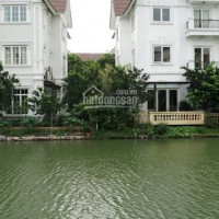 Chính Chủ Cần Tiền Bán Cắt Lỗ Bt Hoa Sữa 1, 241m2, 20 Tỷ, Tây Tứ Mệnh, Vinhomes Riverside, 0962678988