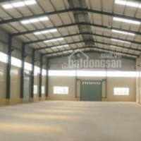 Chính Chủ Cho Thuê Nhanh Kho Xưởng đường Phan Anh - Diện Tích: 600m2 - Giá: 54 Triệu/tháng