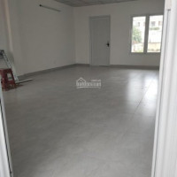 Chính Chủ Cho Thuê Nhanh Nhà Mt đường Hồ Hảo Hớn, Quận 1, 55x20m, 2 Tầng - Tiện Mở Shop, Cafe