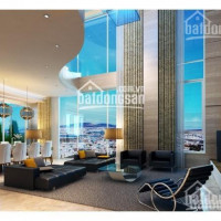 Chính Chủ Cho Thuê Nhanh Siêu Phẩm Skyvilla độc Nhất Tại Landmark 81 Có Hồ Bơi Riêng 245m2 Call 0977771919