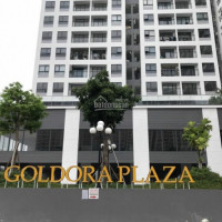Cho Thuê Căn Hộ Goldora Plaza Nhà Trống  2pn 1wc Giá 75 Tr / Th Gọi 0975210565